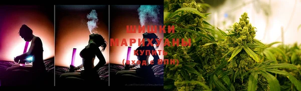 не бодяженный Гусев