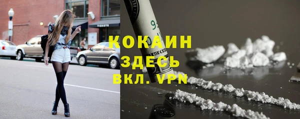 jwh Гусь-Хрустальный