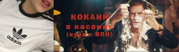 не бодяженный Гусев