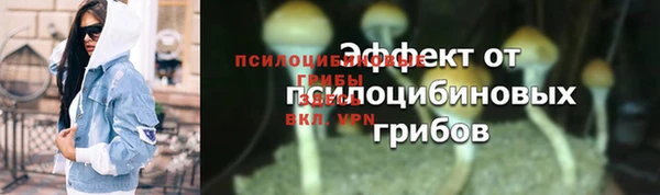 mdpv Дмитров