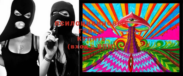 jwh Гусь-Хрустальный