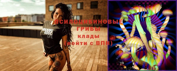 mdpv Дмитров