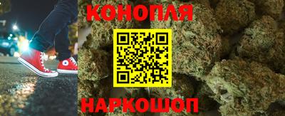 сатива Малгобек