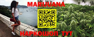 сатива Малгобек