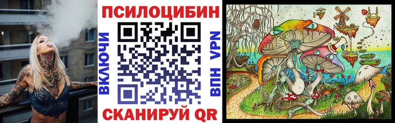 Псилоцибиновые грибы GOLDEN TEACHER  Краснодар 