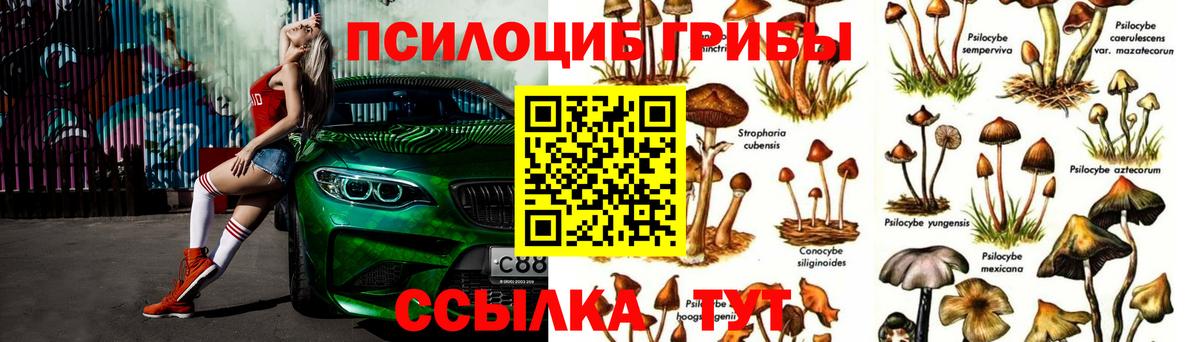 Галлюциногенные грибы Magic Shrooms  Галлюциногенные грибы GOLDEN TEACHER  Россия  Вход с VPN 