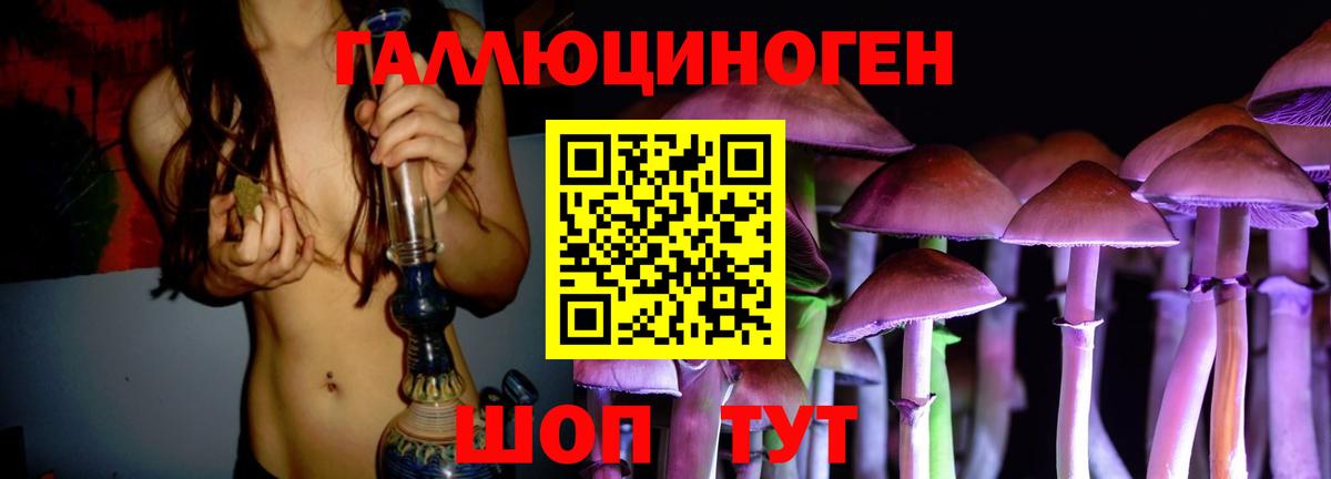Псилоцибиновые грибы мицелий Россия