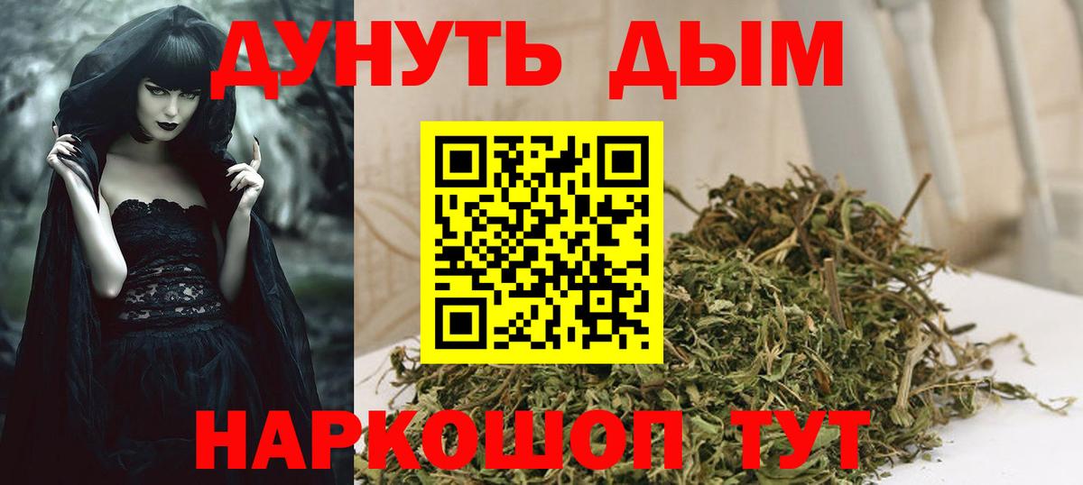 Россия  Бошки марихуана индика  Вход с VPN  Конопля Bruce Banner  Каннабис конопля 