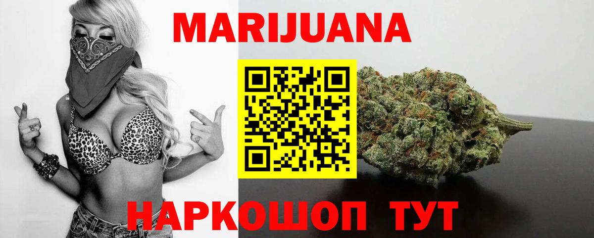 Каннабис сатива Россия